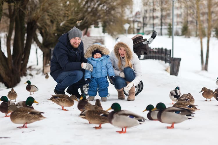 Family Fun At The Park Feeding Ducks