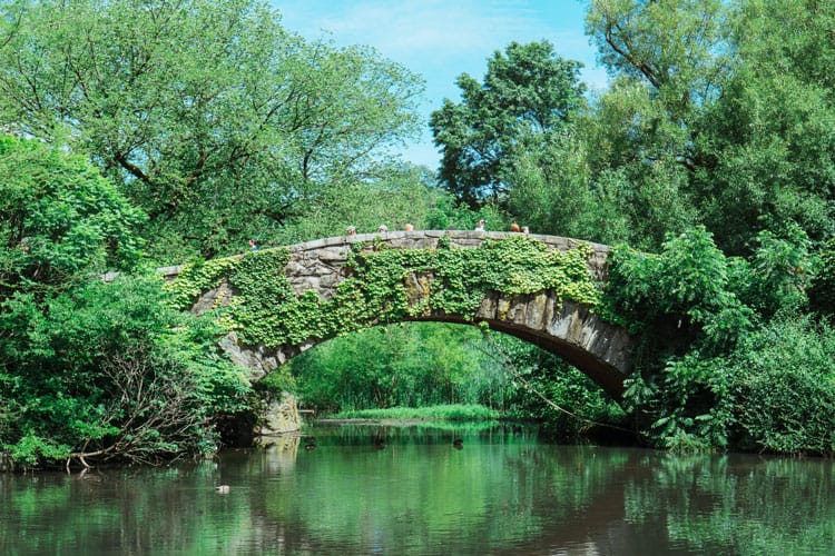 Central Park New York