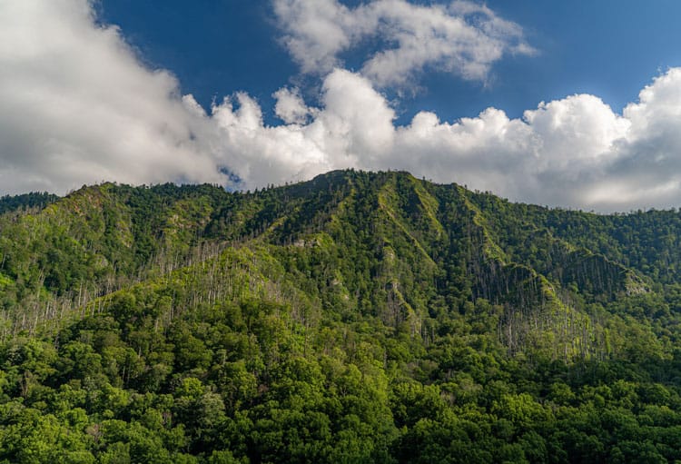 Great Smoky Mountains National Park