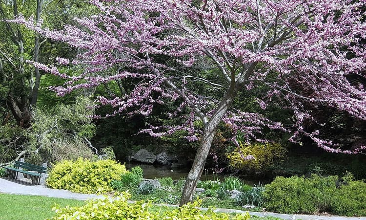 400-Acre High Park Just West Of The City Center