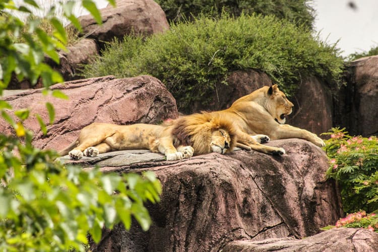 Greater Vancouver Zoo