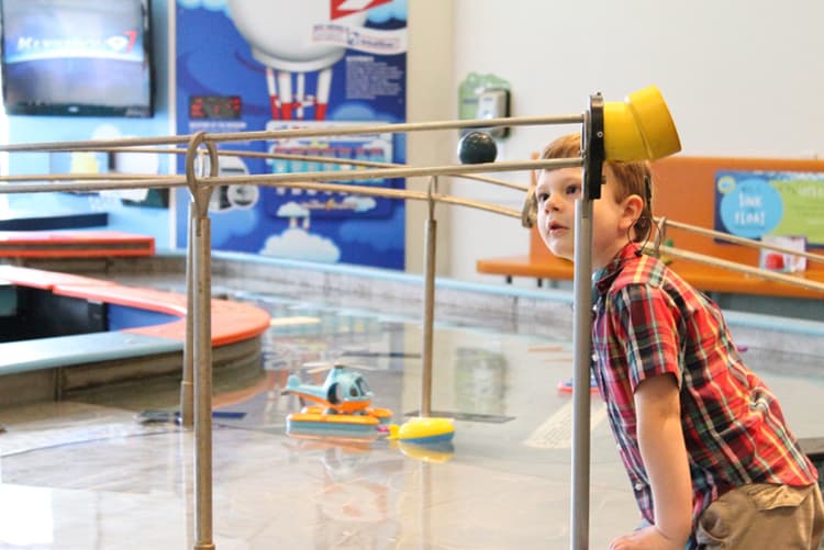 Boy Watching Ball At The Tampa Glazer Children'S Museum