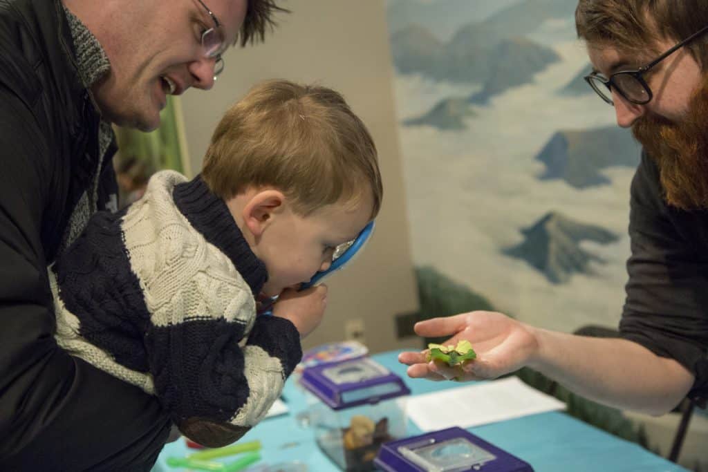 North Carolina Museum Of Natural Sciences In Raleigh