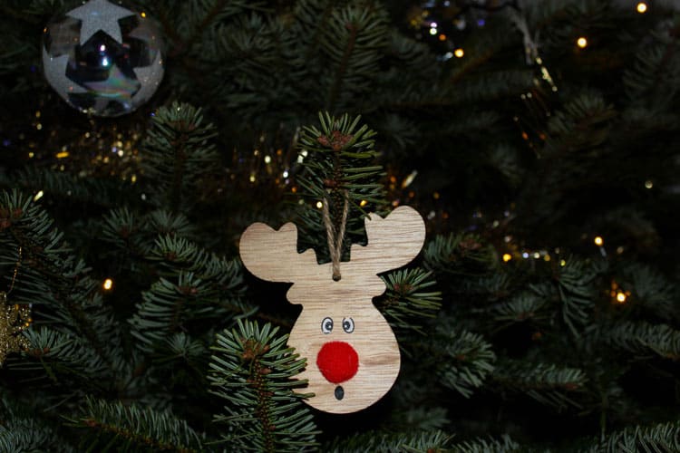 diy christmas ornament