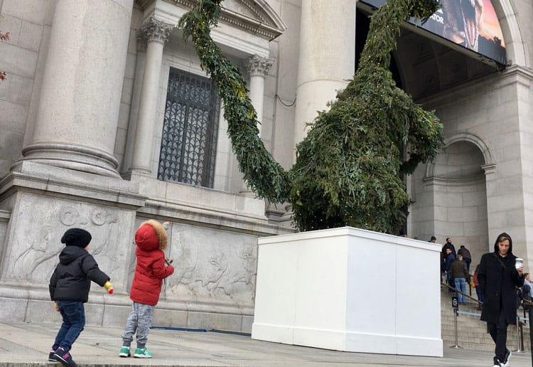 American Musuem Of Natural History Entrance