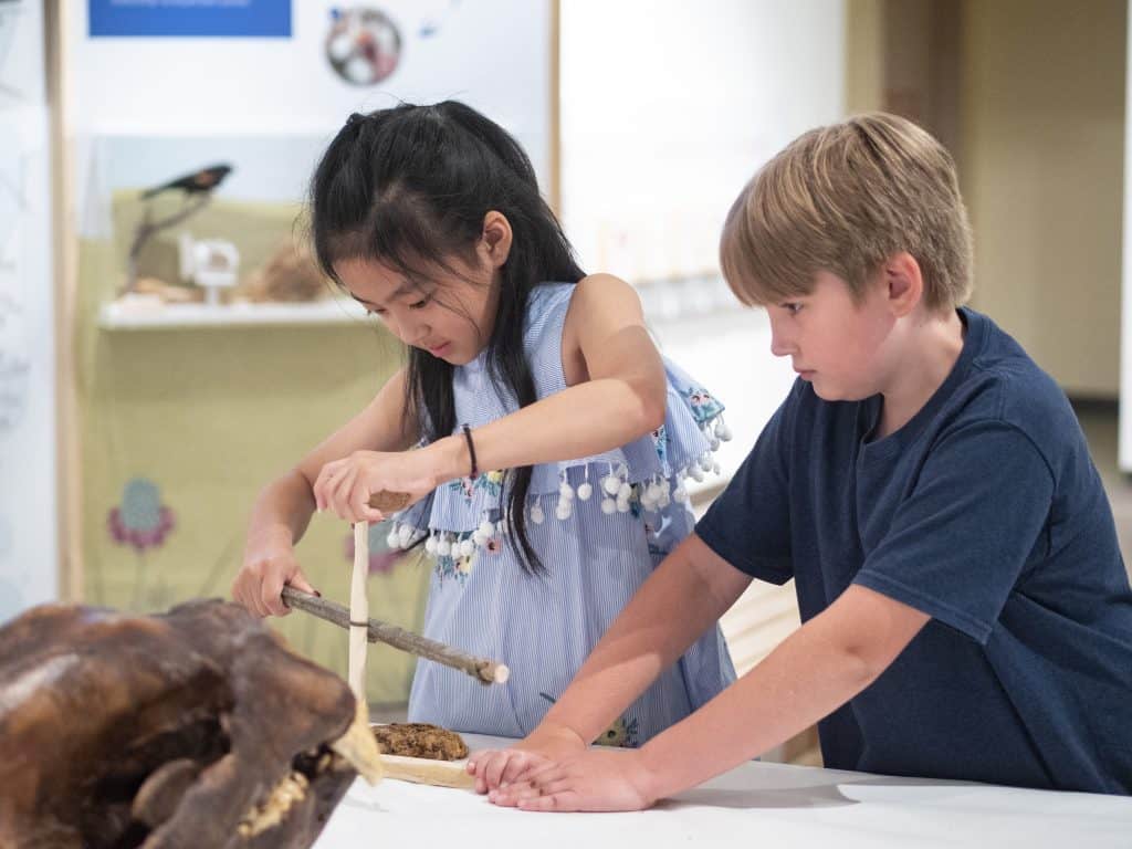 Children At The Museum Of Natural History At Cu Boulder