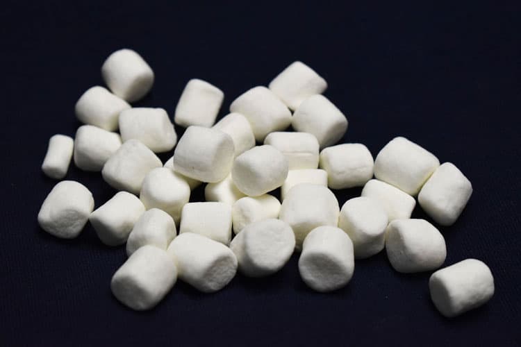 Boredom Buster - Marshmallow Sculptures