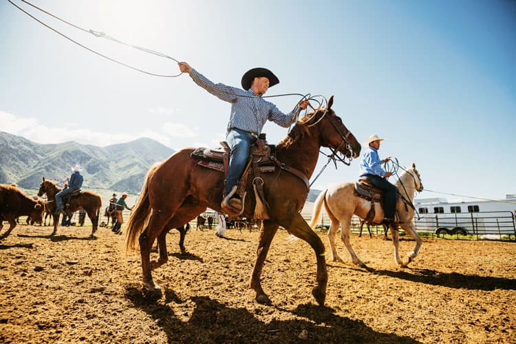 Rodeo In Aspen Snowmass