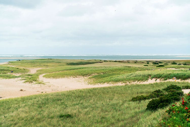 Cape Cod Seashore