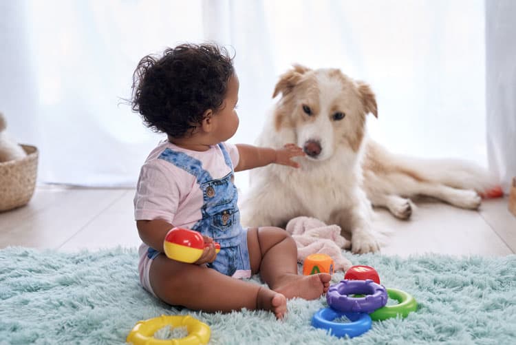 Baby Petting Dog