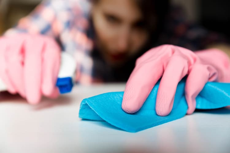 Woman Cleaning The Counter