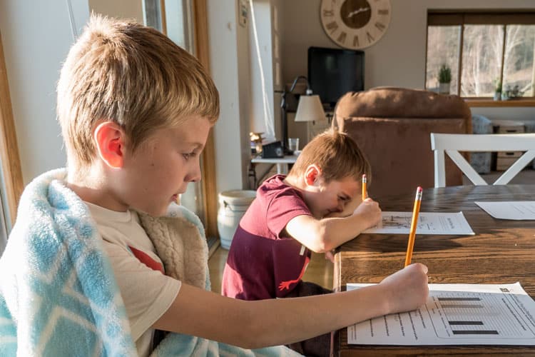 Boys Doing Homework