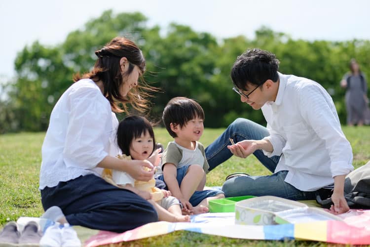 Family At Picnic