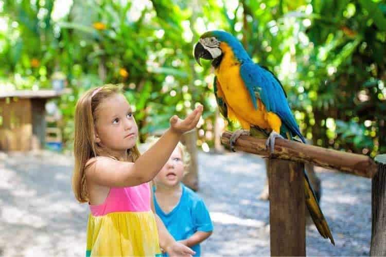 South Texas Botanical Gardens &Amp; Nature Center