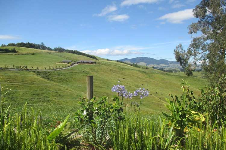 Kauri Lodge Farm