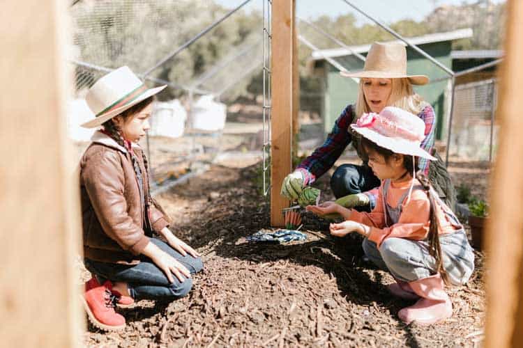 What To Expect When Visiting New Zealand Farms