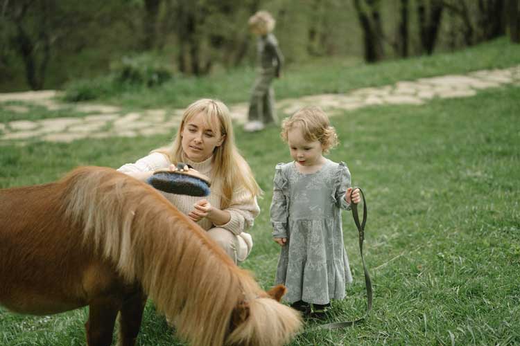 Family-Friendly Activities At New Zealand Farms