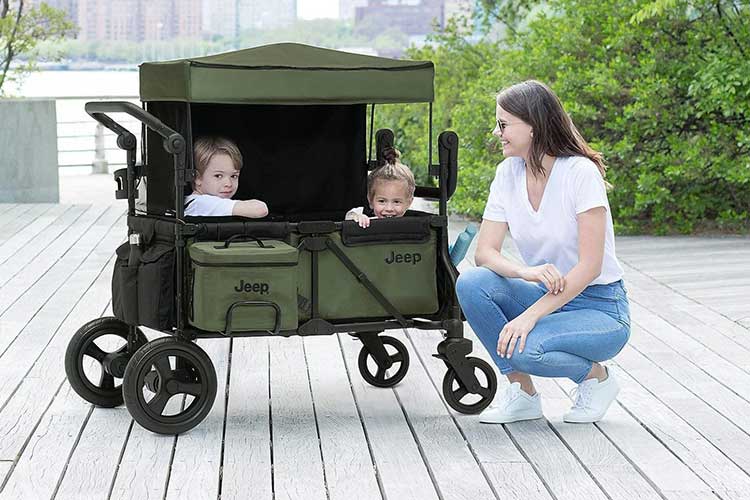 Top Stroller Wagon Rental Services