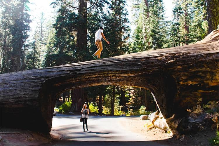 Sequoia National Park