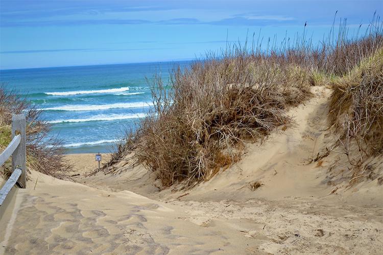 Cape Cod National Seashore