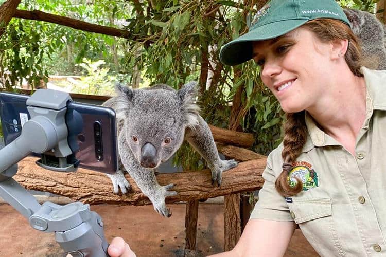 Lone Pine Koala Sanctuary, Brisbane