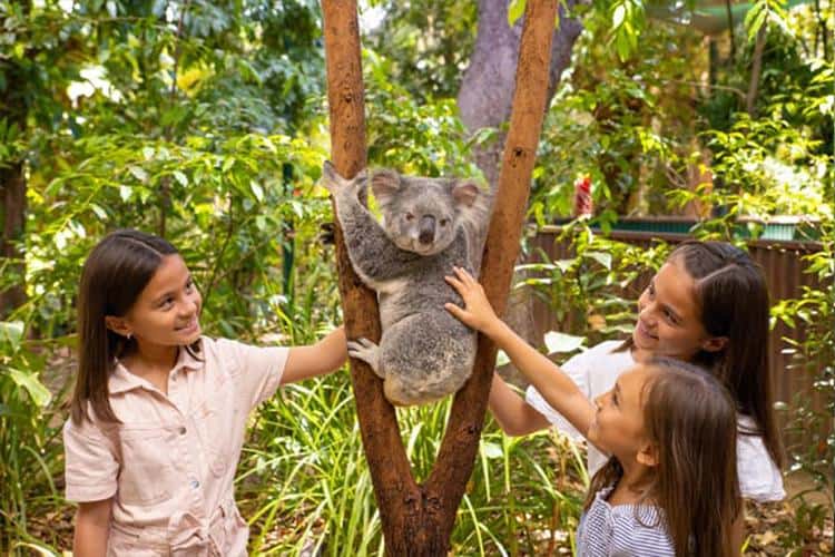 Currumbin Wildlife Sanctuary, Gold Coast