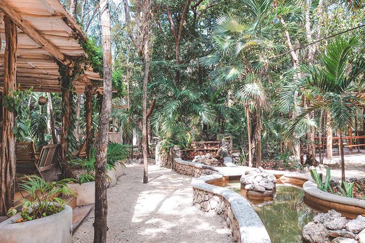 Top Family Wellness Retreats In Tulum