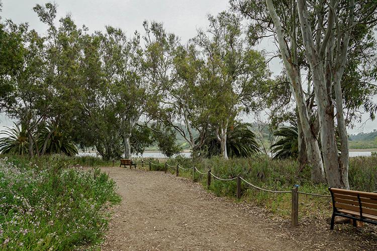 Batiquitos Lagoon Trail, Carlsbad