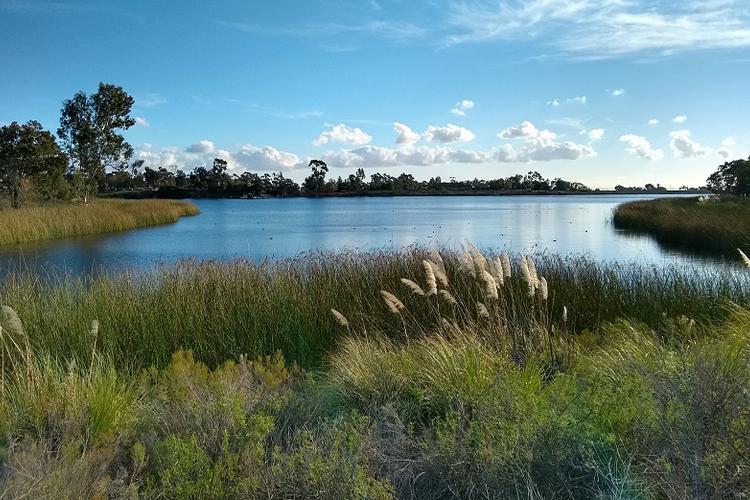 Lake Miramar Trail, San Diego