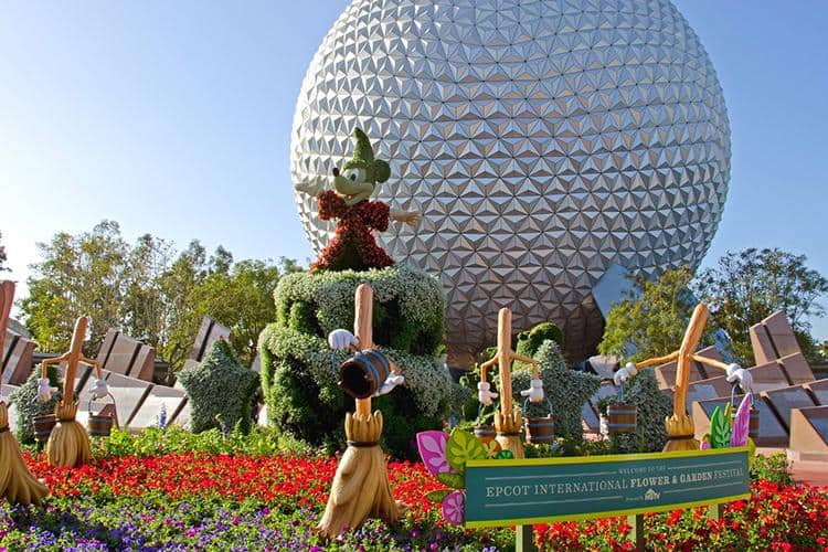 Walt Disney World Parks Comparison: A Family Perspective