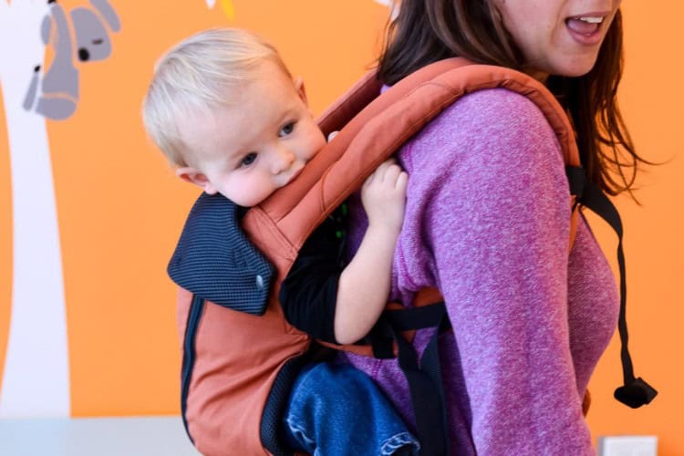 Lillebaby All Seasons Carrier