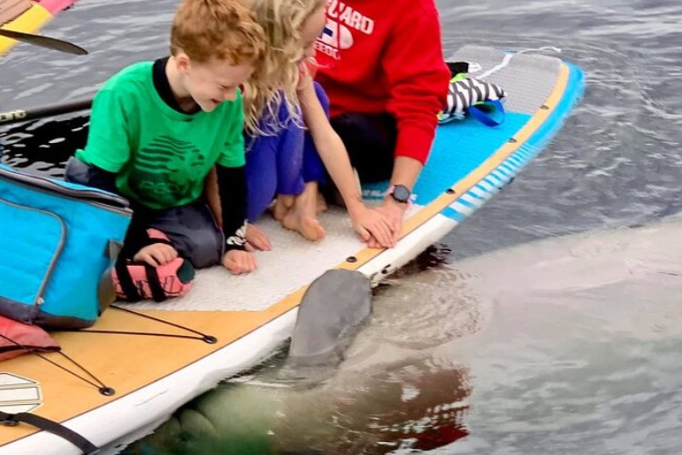 Paddleboard Orlando