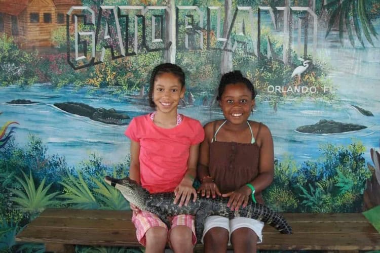 Gatorland: Best Orlando Stop To See A Gator Up Close