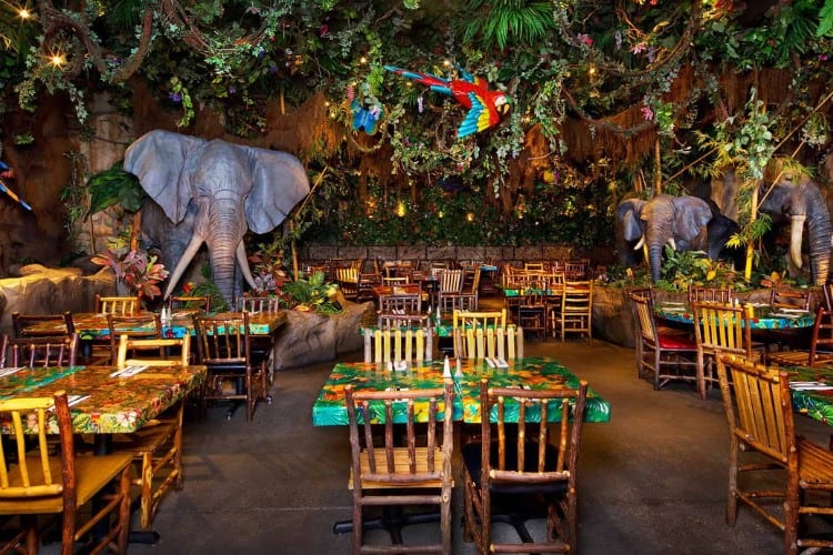 Rainforest Café