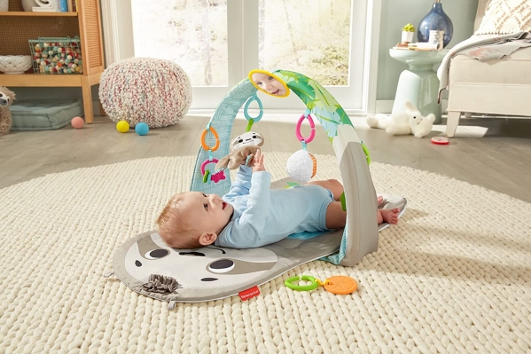 Rent Baby Gear INCLUDING Fisher-Price Ready to Hang Sensory Sloth