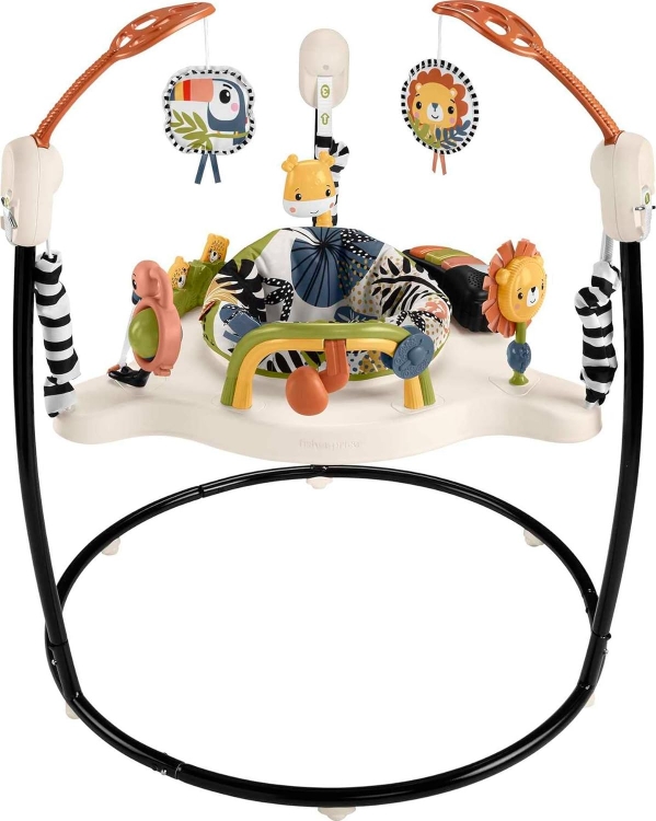 Rent Baby Gear INCLUDING Fisher Price Baby Bouncer and Activity Center BabyQuip