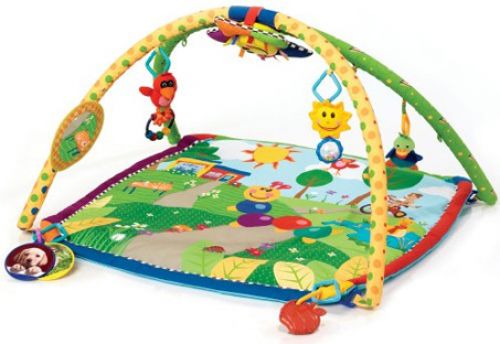 baby einstein caterpillar play gym