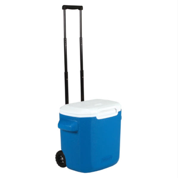 Cooler