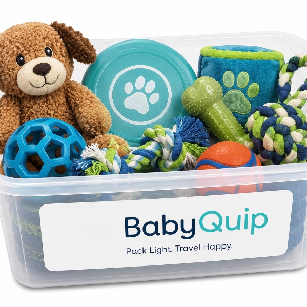 Dog Toys