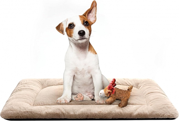 Dog Beds Crate Pad for Medium Dogs Fit Metal Dog Crates
