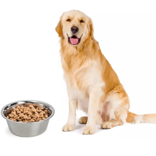Large Pet Bowl