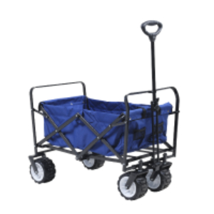 Beach Wagon