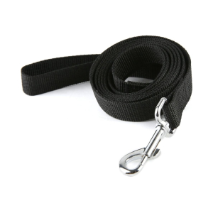 Pet Accessories