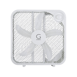 Fan